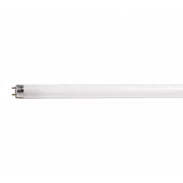 LÂMPADA FLUORESCENTE TUBULAR T8 32W 6400K(BRANCO FRIO)G13
